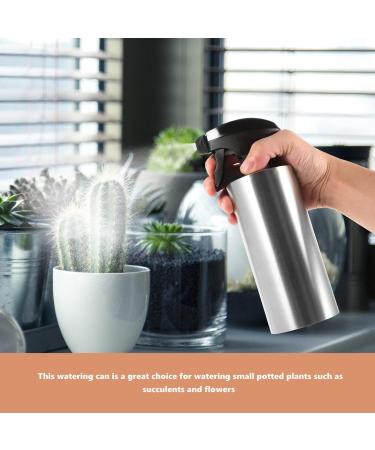 Stainless Steel Mist Spray Bottle - Refillable Continuous Sprayer for Plants Hair Styling & Skin Care - 550ML - Buy Online on GoSupps.com