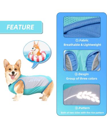 Dog Cooling Vest | Breathable Mesh Summer Jacket | Comfortable Dog Coat L - Blue - Buy Online on GoSupps.com