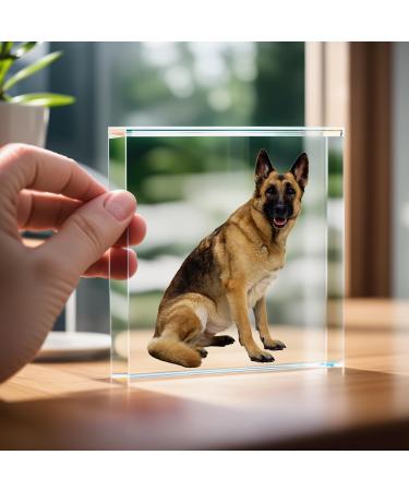 TULLUN Personalised Custom Made Pet Dog Cat Animal Memorial Acrylic Crystal Clear Block Plaque with Photo Text Name Date - Full Print 3D Effect - Buy Online on GoSupps.com