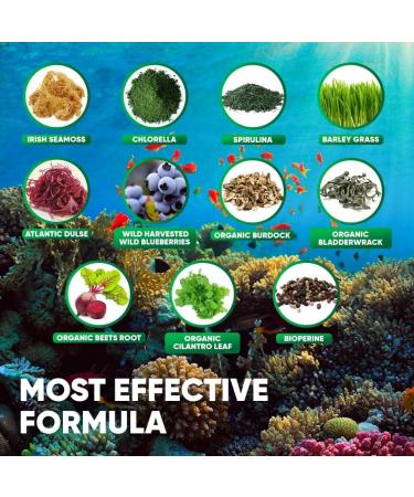 VVNATURALS Sugar-Free Chlorella Spirulina Seamoss Gummy - Immune, Detox & Joint Support | Keto-Friendly Alkaline Supplement for Women & Men | Non-GMO | Made in USA (60 Vegan Gummies) - Buy Online on GoSupps.com