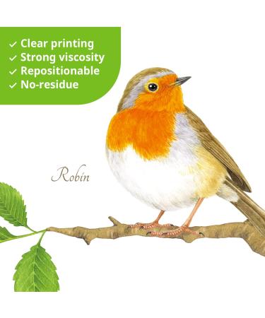 Decowall DS-8061 Colored Birds & Branches Wall Sticker | Peel & Stick Removable Home Decor for Nursery, Bedroom, Living Room | Tree & Leaf Decoration - Animal Theme - Buy Online on GoSupps.com