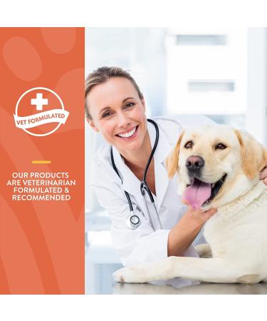 NaturVet Potty Here Training Aid Spray - 8 oz - Indoor & Outdoor Use - Train Puppies & Dogs Where to Potty - Buy Online on GoSupps.com