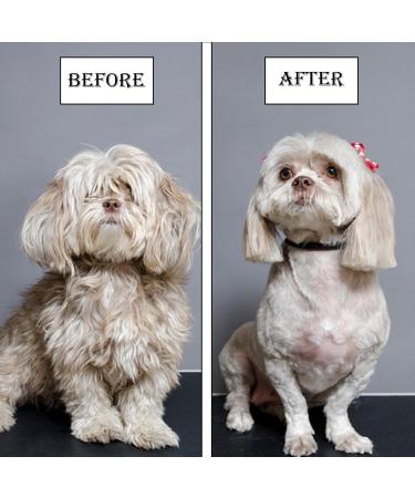 Flea Comb for Dogs 2-piece Set of Dog Fine Toothed Flea Comb Flea Comb for Cats Dogs Lice Combs Fine Tooth Comb Grooming Suitable for Removing Tears Stains from Dogs Fleas Lice - Buy Online on GoSupps.com