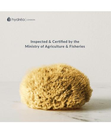 Hydrea London Natural Sea Sponge 5-5.5"- Premium Mediterranean Honeycomb Unbleached Natural Sponge for Bath and Shower for Adults Women Men Children and Baby - Buy Online on GoSupps.com