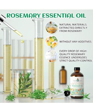 EVOKE OCCU Rosemary Essential Oil and Rose Essential Oil - 4 Fl Oz - Buy Online on GoSupps.com