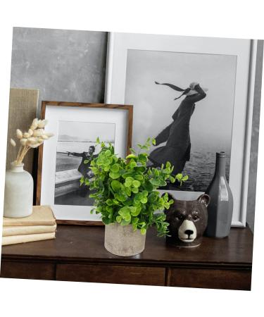 TOPBATHY Home Decor 5 Pcs Simulated Potted Plant Small Pulp Potted Plants Eucalyptus Small Greenery Decor As Shownx5pcs 22x8cmx5pcs - Buy Online on GoSupps.com