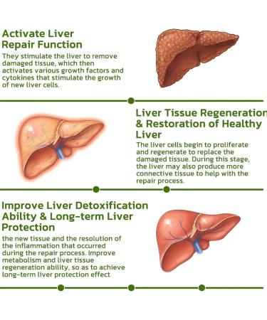 Yuvdargh GFOUK Vegan Liver Cleanse Nasal Herbal Box - Detox & Repair | 5PCS - Buy Online on GoSupps.com