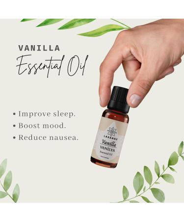 Essential Oil Set 4X 0.33 Fl Oz | Lavender Rose Jasmine Vanilla | Aromatherapy Diffuser Oils for Home & Office Relaxation - Buy Online on GoSupps.com