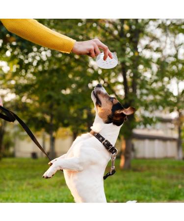 KALIONE 6 Packs Dog Scent Work Tins Scent Training Box for Dogs Small Dog Food Container Agility Training Equipment for Dogs Dog Scent Training Tools Kit Aluminum Containers for Dog Nose Training - Buy Online on GoSupps.com