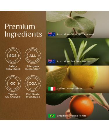 Gya Labs Immune Essential Oil Blend for Diffuser & Wellness - Thieves Essential Oil for Cleansing & Invigorating (0.34 Fl Oz) - Buy Online on GoSupps.com