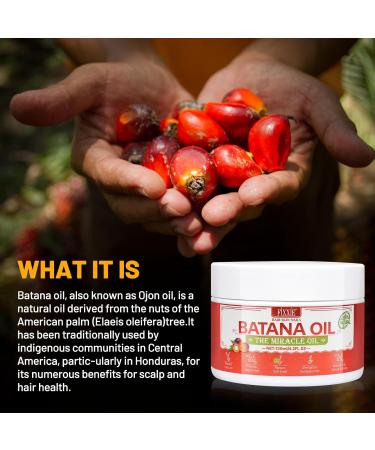 Raw Batana Oil Batana Cream For Hair Growth 120ml 100% Pure Natural Raw Batana Oil from Honduras Unrefined and Organic Hair Mask Prevent Hair Loss Promote Hair Thickness for Women & Men - Buy Online on GoSupps.com