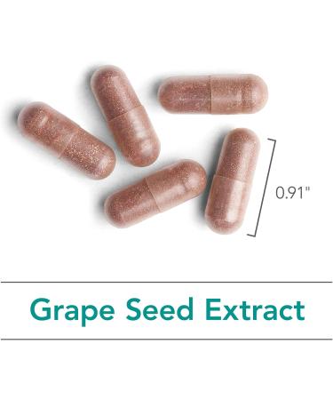 Nutricology Grape Pips - Grape Seed Extract Proanthocyanidins Polyphenols Herbal Supplement Organic 300mg Capsules - 90 Count - Buy Online on GoSupps.com