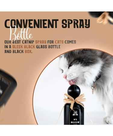 The Knittens Meow No5 Catnip Spray for Indoor Cats - Liquid Catnip Spray Bottle for Feline Fun & Comfort - Essential Oil Catnip Better for Sensory Stimulation & Environment - Black Bottle - 350g - Buy Online on GoSupps.com
