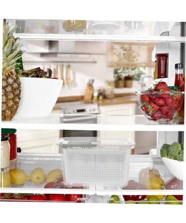 Zerodeko Box 2 Refrigerator Crisper Fridge Storage Containers Food Container Storage Box Japanese-style - Buy Online on GoSupps.com