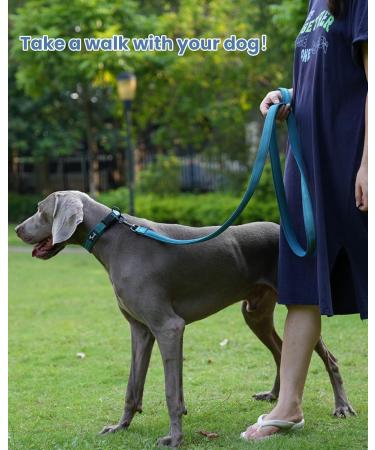 Buy PETTOM Adjustable Nylon Dog Collar - Breathable Reflective XS Blue - Perfect for Small Dogs - Buy Online on GoSupps.com