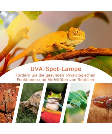 Buy Lucky Herp Reptiles Heat Lamp 100W - UV UVA Light for Turtles Chickens Dogs & Amphibians | 2-Pack Upgrade for Terrariums - Buy Online on GoSupps.com