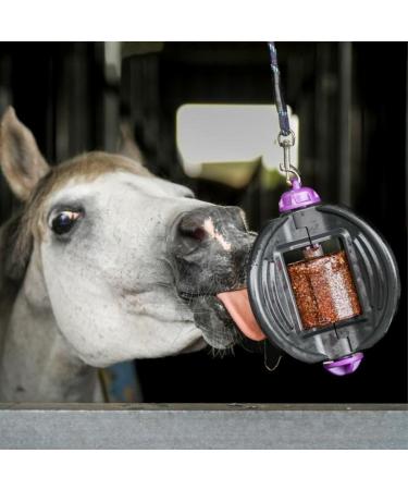 Bizzy Ball Horse Toy Black | Bizzy Lick Holder Reduce Boredom in Horses | Innovative Design | Peppermint Essential Oil included | 847g - Buy Online on GoSupps.com