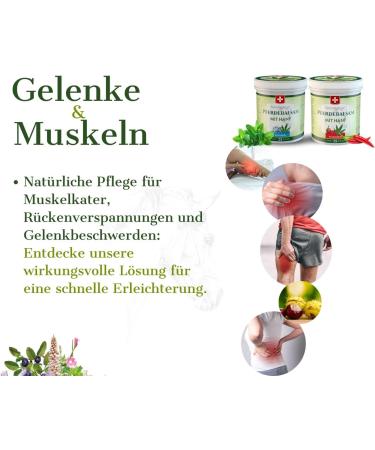 Premium Horse Balm with Hemp - Cooling & Warming Gel | 25 Natural Extracts | Ideal for Athletes | Pack of 2 x 250ml - Buy Online on GoSupps.com