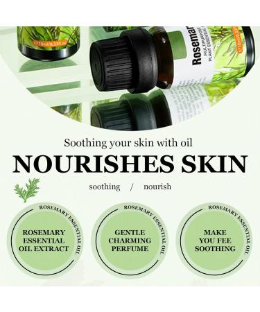 Skin Care Essential Oils Set - Lavender, Rosemary, Rose 10ml x3 - Moisturizing and Softening, Aromatherapy Oil for Skin and Home Fragrance - Buy Online on GoSupps.com