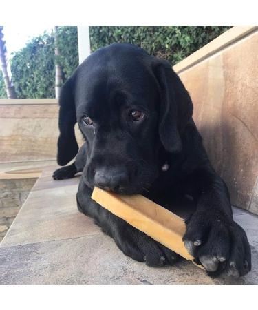 Super Himalayan Dog Chew-All Natural Hard Cheese Himalayan Dog Treats-Long Lasting Dog Yak Chews Made in Europe-Large for Dogs 15-25 kg Large(L)-Dogs 15-25 kg - Buy Online on GoSupps.com