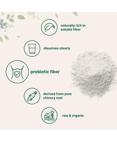 Organic Daily Prebiotic Dietary Fiber Supplement Powder  (Inulin Fiber from Chicory Root)  10 Ounce  Highly Promote Intestinal Colon  Gut Health and Digestive Function  Vegan Friendly 10 Ounce (Pack of 1) - Buy Online on GoSupps.com