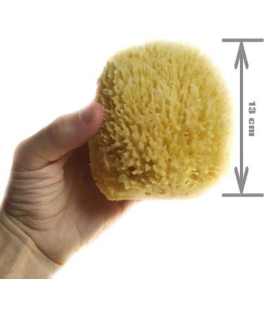 Premium Natural Mediterranean Sea Sponge - Large 13cm Organic Bath Sponge Durable & 100% Natural - Buy Online on GoSupps.com