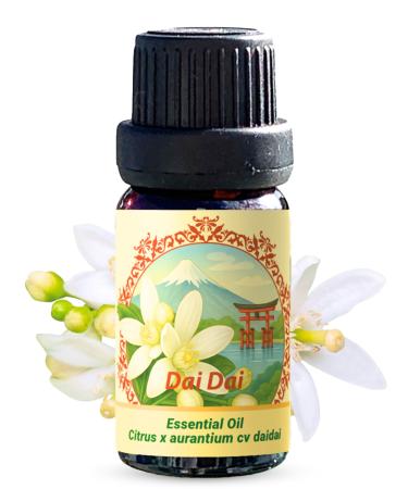 Dai Dai Flower Essential Oil (Citrus aurantium VAR. Daidai) | 100% Pure Steam Distilled | 0.33 FL OZ / 10 ml