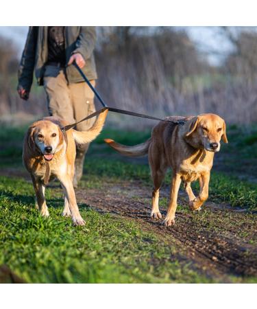 Double Dog Lead Double Ended Lead For Dogs Adjustable Double Lead For 2 Dogs 360 Rotation Dog Leash Coupler Double Dog Lead For Walking 2 Dogs No Tangle(Black) - Buy Online on GoSupps.com
