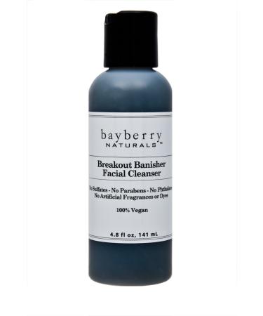 Breakout Banisher Facial Cleanser