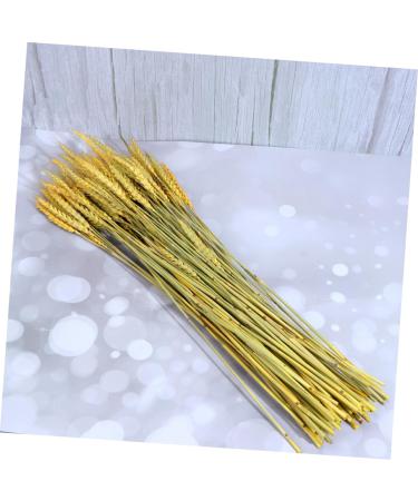 Warmhm 1 Rustic Decor Country Decor The Gift Home Accents Decor Handmade Wheat Dried Flowers Simulation Wheat Centerpieces Natural Blond Wheat Ears of Wheat Decorate Bouquet - Buy Online on GoSupps.com