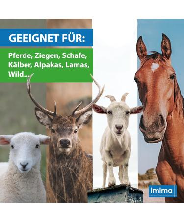 Buy Imima Mineralleckstein Horse Biotin + Plus Salzleckstein Set (2 x 3kg) - Mineral Salt Lick Stones for Horses Sheep & Goats - 6kg Pack - International Shipping Available - Buy Online on GoSupps.com