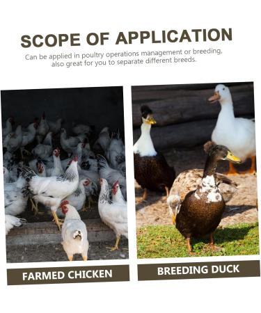 BUGUUYO 100pcs Chicken Leg Ring Chicken Thigh Poultry Identification Ring Chicken Drumsticks Plastic Purple - Buy Online on GoSupps.com