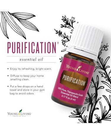 Young Living Purification Essential Oil Blend - 5 ml - 6 Unique Oils Formula - Buy Online on GoSupps.com