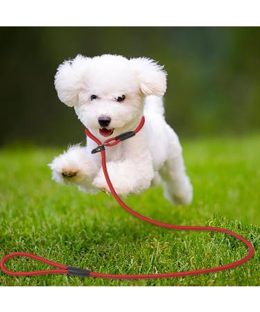 Avodova 2-Piece Adjustable Dog Leash Set | 1.3m Braided Nylon Leash for Small & Medium Dogs | Durable Training Tow Lines - Buy Online on GoSupps.com