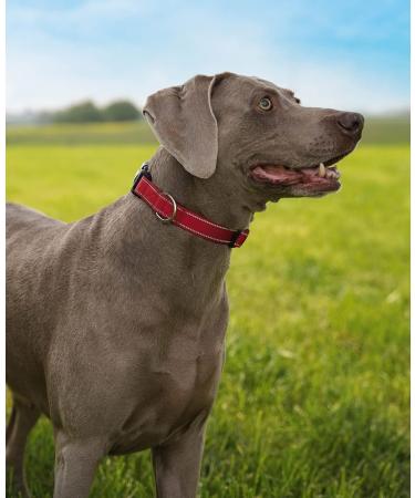 Lonto Durable Nylon Dog Collar - Size L Soft Padded 360 Reflective Click Closure Metal Ring - Red - Buy Online on GoSupps.com