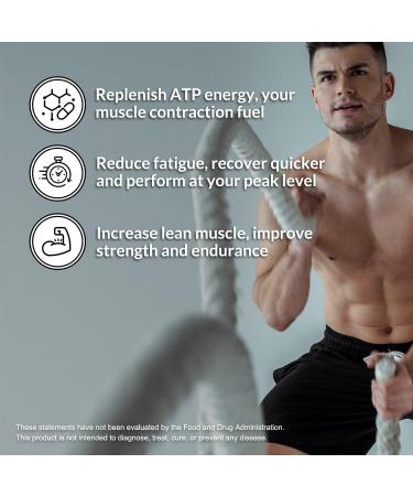 NAKED Pure Micronized Creatine Monohydrate 200 Servings + Pure L-Glutamine 240 Capsules Bundle: Vegan Non-GMO Gluten Free. Minimize Muscle Breakdown & Improve Protein Synthesis. Nothing Artificial - Buy Online on GoSupps.com