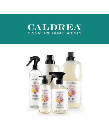 Caldrea Hand Wash Soap with Aloe Vera, Olive Oil, and Essential Oils - Sweet Pea Scent - 10.8 oz (Pack of 1) - Buy Online on GoSupps.com