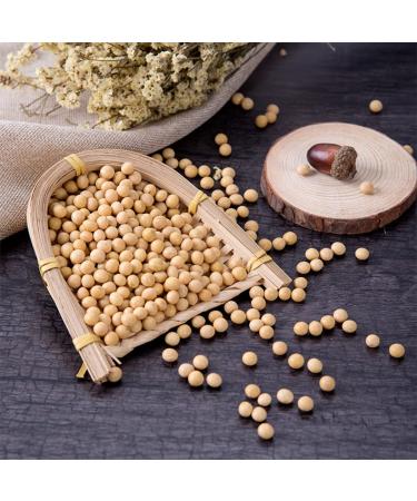 Organic Non-GMO 17.6oz Bulk Soybeans - Vegan Friendly Dry Soybeans for Soy Milk and Tofu - Buy Online on GoSupps.com