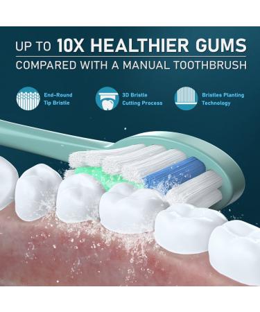 YUNCHI Y7 Sonic Electric Toothbrush - Rechargeable, 10 Dupont Heads, 5 Modes, 40,000 VPM, 2-Min Timer for Adults & Kids - Buy Online on GoSupps.com