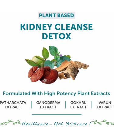 Premium Ayurvedic Kidney Cleanse & Repair Supplement - 60 Vegetarian Tablets for Healthy Kidneys & Urinary Tract Support - Buy Online on GoSupps.com