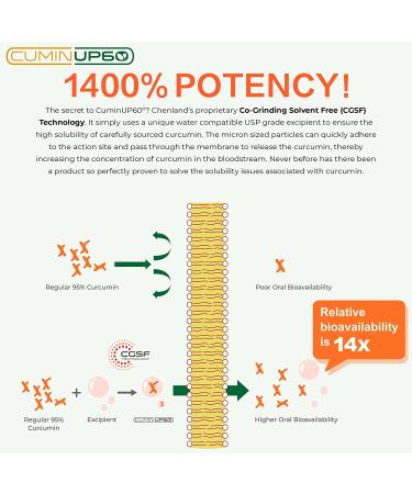 Turmeric Curcumin with Ginger, Black Pepper & BioPerine Supplement - 2300mg, 90 Capsules - Gluten-Free, Non-GMO - Enhanced Absorption Formula for Optimal Health - Buy Online on GoSupps.com