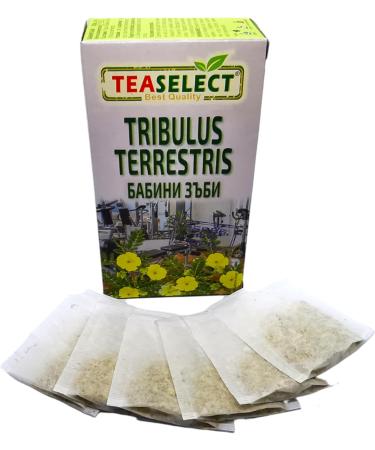 Tribulus Terrestris Herbal Infusion - 20 Filter Bags Pure Flavour Premium Bulgarian Tea 20g - Buy Online on GoSupps.com