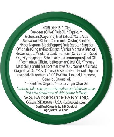 Badger Company Organic Sore Joint Rub with Arnica - 0.75 oz for Pain Relief - Buy Online on GoSupps.com