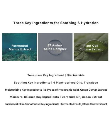 THE LOMB 10GF Memory Intensive Cream - Glow boosting, Deep Moisturizing and Skin-Soothing Formula - 1.76 oz. - Buy Online on GoSupps.com