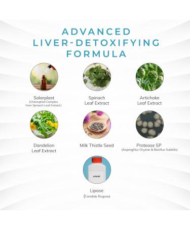 LA Cleanse Liver Detox Supplements - 60 Capsules - 300 mg Solarplast Spinach Leaf Extract Artichoke Leaf Milk Thistle Seed for Liver Cleanse Detox & Repair and Smoother Digestion - Buy Online on GoSupps.com