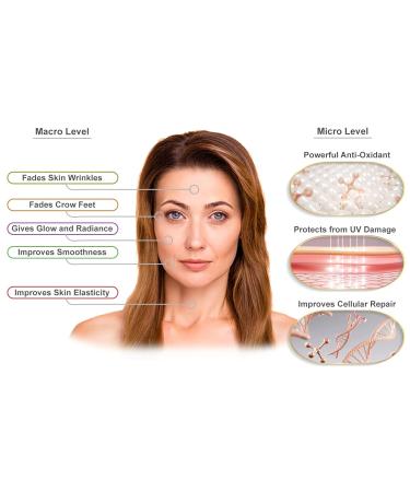 Ageless Defense Cellular Restorative Astaxanthin Face Serum | Anti-Aging Organic Formula by Visage Pure - Buy Online on GoSupps.com