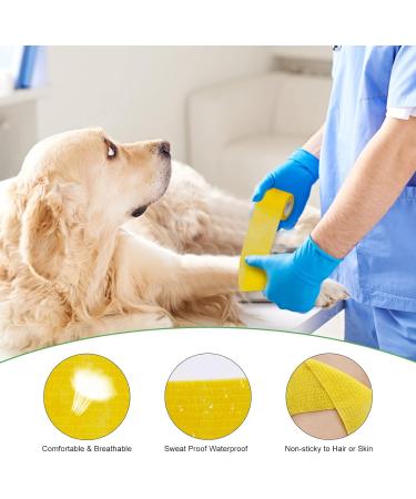 Self Adhesive Elastic Bandage Wrap - ForTomorrow 24 Pack 2 x 5 Yards - Breathable, Waterproof, Assorted Colors - Ideal for First Aid, Sports, and Pet Care - Buy Online on GoSupps.com