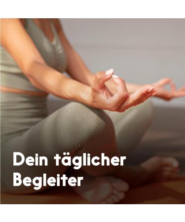 Supplement Hub Milk thistle artichoke dandelion complex high dose 150 capsules 5in1 complex with milk thistle + artichoke + dandelion + desmodium + choline vegan laboratory tested packaging Not flavored - Buy Online on GoSupps.com