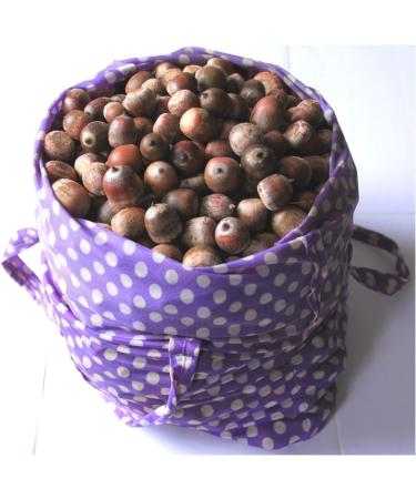 Buy 0.5kg Air-Dried Red Oak Acorns | Natural Rodent Food | 14.00/kg - International Shipping Available - Buy Online on GoSupps.com