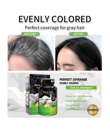 Natural Plant Hair Dye for Grey Hair | Black Bubble Shampoo for Men | Demi-Permanent 6.76 Fl Oz Box of 10 - Buy Online on GoSupps.com